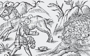 эльфы в горе